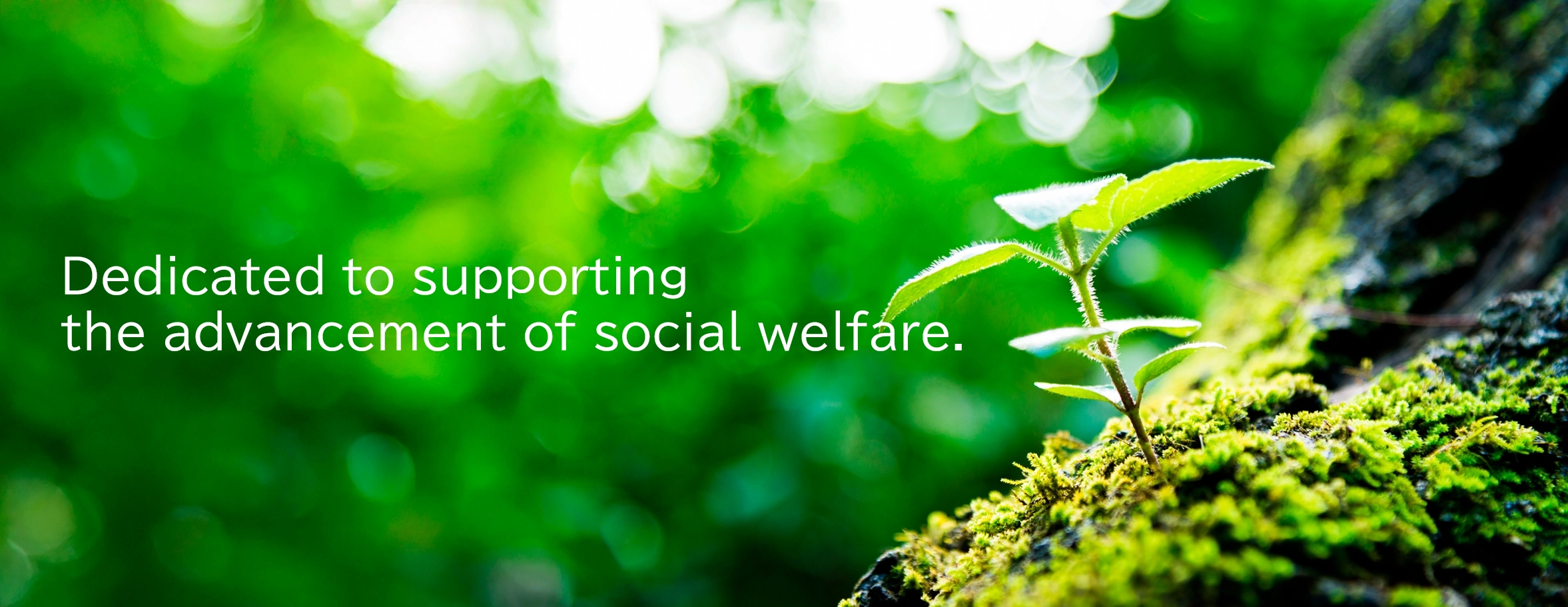 Dedicated to supporting the advancement of social welfare.