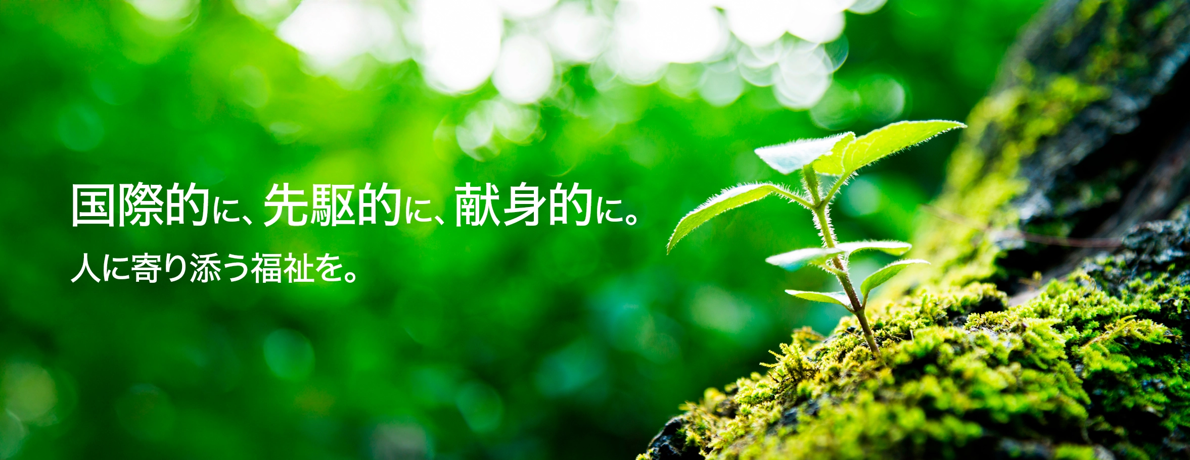 国際的に、先駆的に、献身的に。人に寄り添う福祉を。